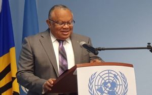 Dr-Walcott-UN-Private-Sector-Dialogue